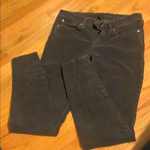 GAP Factory Dark Grey Skinny Cords
